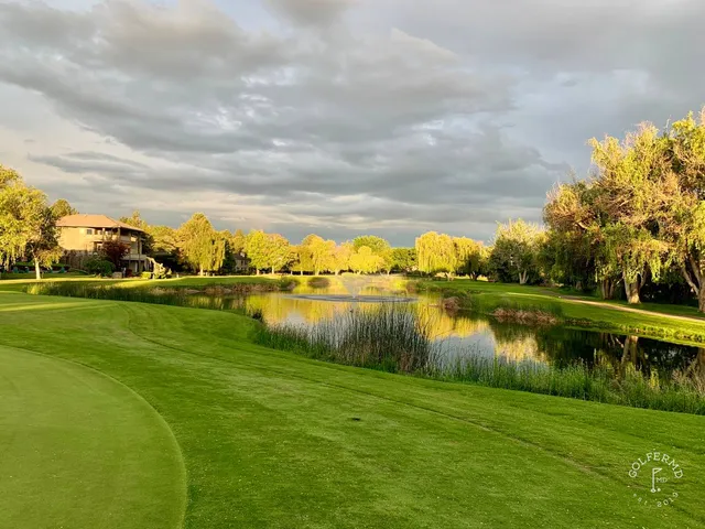 A close view of a green and flagstick at Meadow Springs, with trees around the hole.