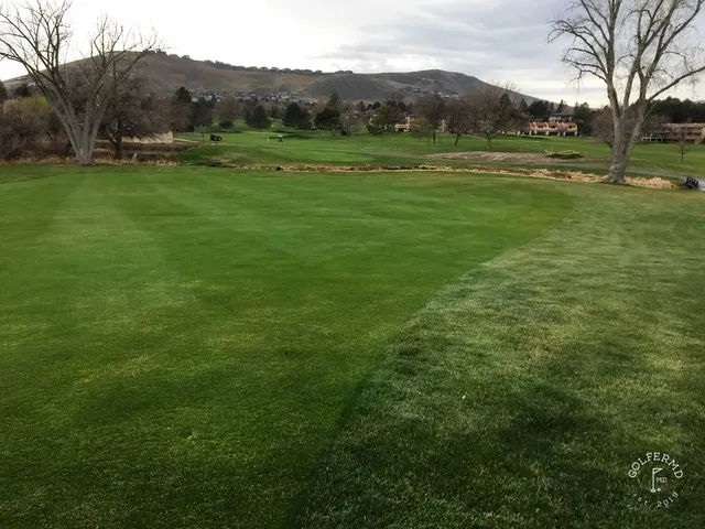 A close view of a flagstick at Meadow Springs, with trees behind the green.