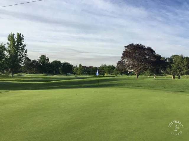 A golfer hitting a shot from the rough at Meadow Springs.