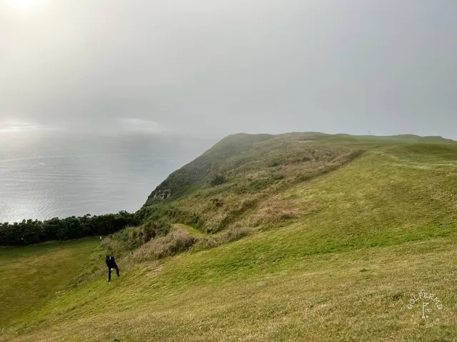 A green and flagstick at Old Head, seen from above the hole.