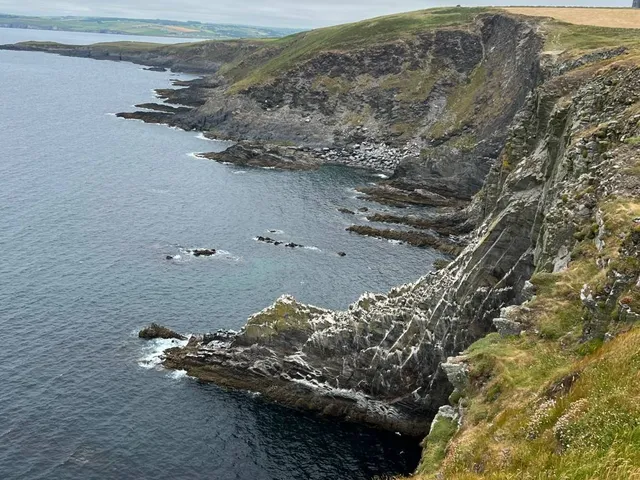 A close view of a green at Old Head, with the cliff edge just beyond the hole.