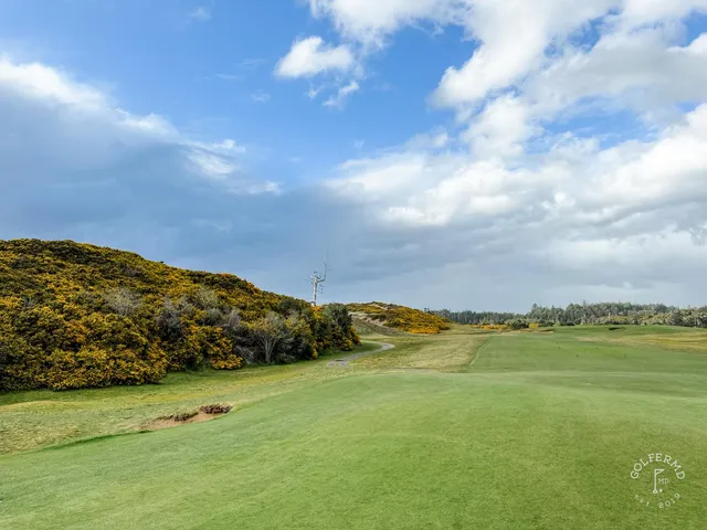 A wide links hole at Old Macdonald, the fairway set in the dunes with the ocean on the horizon.