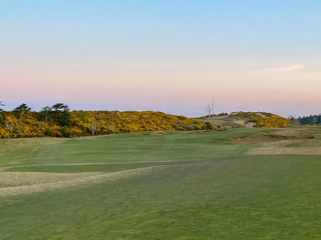 A green and flagstick at Old Macdonald, a pot bunker short of the hole and the dunes behind.