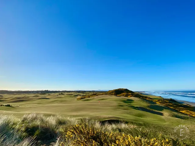 An elevated view of a hole at Old Macdonald, the fairway winding through the dunes to the ocean.