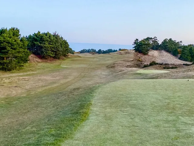 A wide view at Pacific Dunes, with gorse, dunes, and the Pacific on the horizon.