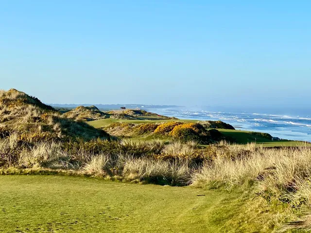 A close view of a green and flagstick at Pacific Dunes, with the water behind it.