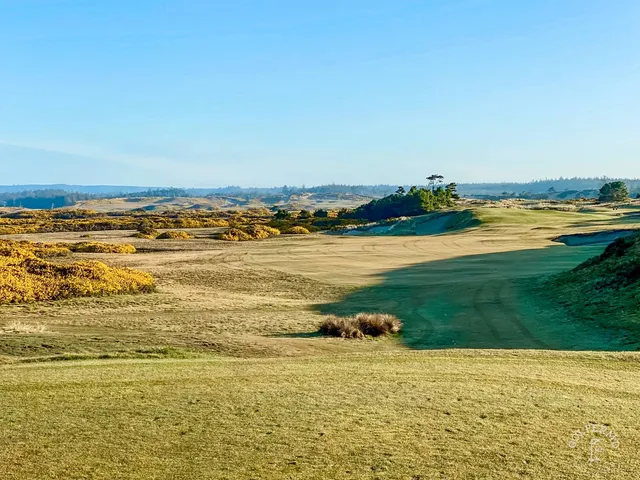 Another view of that fairway at Pacific Dunes, with the gorse and the water.