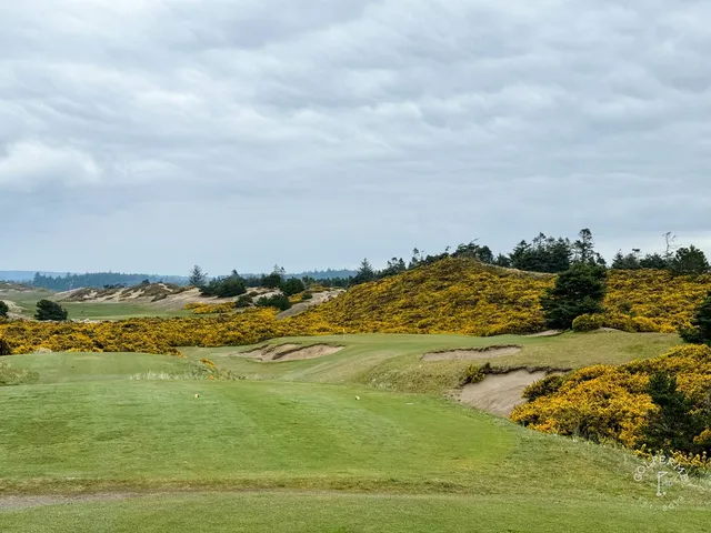 A group of golfers at Pacific Dunes, with the ocean behind them.