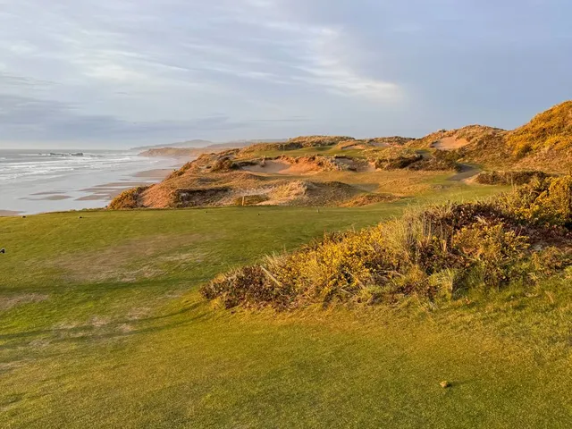 A wide view across the dunes at Pacific Dunes, with the ocean on the horizon.