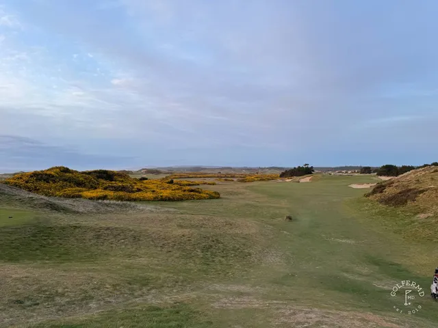 A fairway at Pacific Dunes bending through the gorse toward the ocean.