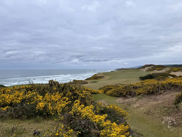 A wide view of the dunes and the Pacific from Pacific Dunes.