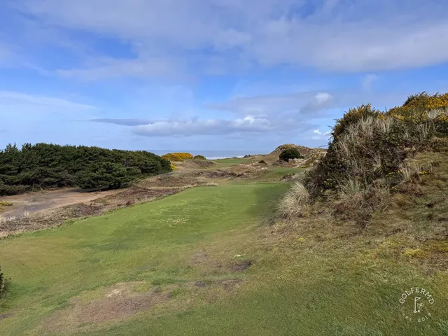 Golfers on a tee at Pacific Dunes, with the gorse and the water behind them.