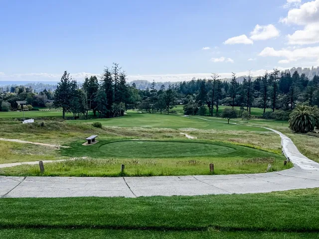 A green and flagstick at Pasatiempo Golf Club, with a bunker in front and trees behind.