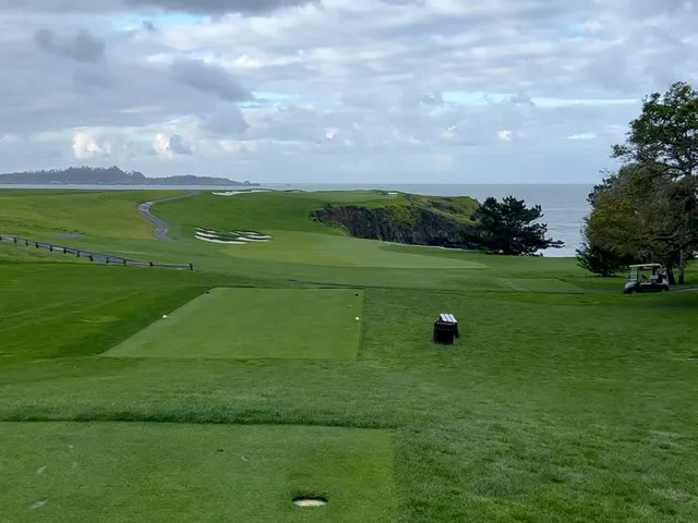 A green and flagstick on the cliffs above the ocean at Pebble Beach Golf Links, with a cypress tree and a bunker.