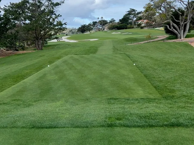 A green and flagstick beside the ocean at Pebble Beach Golf Links, with a cypress tree along the hole.