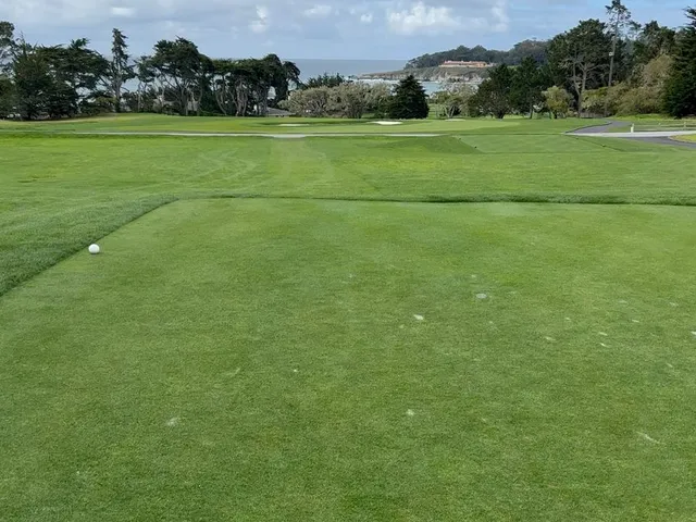 A golfer on a tee box beside the ocean at Pebble Beach Golf Links, with a cypress tree on the hole.