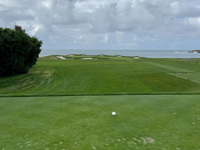 A view along the coast at Pebble Beach Golf Links, with cypress trees above the ocean.