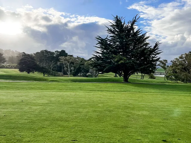 A golfer chipping toward a green at Pebble Beach Golf Links, with the ocean and a cypress tree behind the shot.