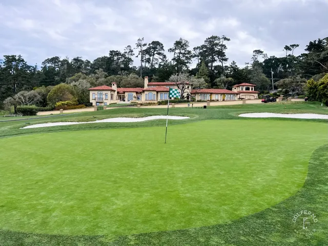 A green and flagstick with the ocean behind them at Pebble Beach Golf Links, framed by a cypress tree.
