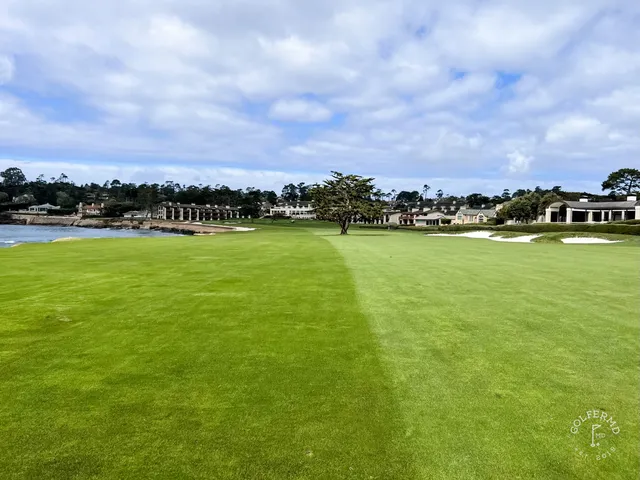 A cypress tree on the cliffs at Pebble Beach Golf Links, with the ocean and the coast beyond.