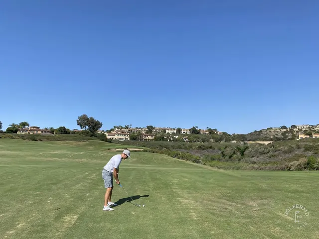 A green and flagstick above the ocean at Pelican Hill Ocean North Course, with a cypress tree and a bunker.