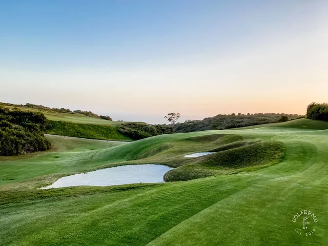 A green and flagstick beside the ocean at Pelican Hill Ocean South Course, with a cypress tree along the hole.