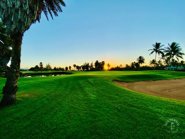 A wide view at Poipu Bay, with sand bunkers, palm trees, and the ocean on the horizon.