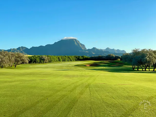 A green and flagstick at Poipu Bay, with a sand bunker in front and palm trees around the hole.
