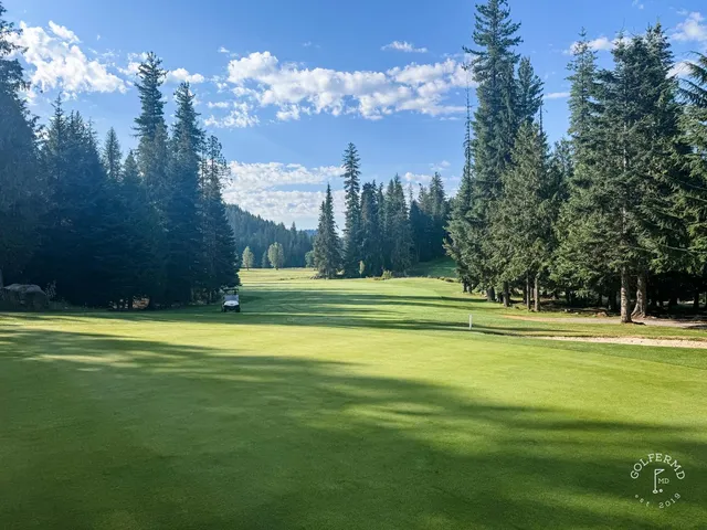 A fairway at Priest Lake Golf Course running through pines, with the lake beyond.