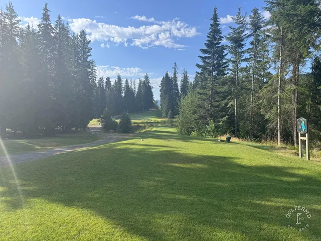 A green and flagstick at Priest Lake, with pine trees and the water behind the hole.