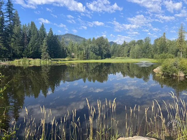 A wide view at Priest Lake, with a fairway, pines, and the lake on the horizon.