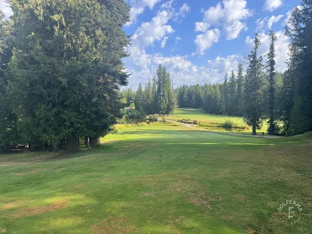 A green and flagstick at Priest Lake, with a sand bunker in front and pines around the hole.