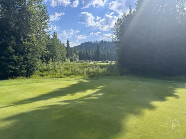 A golfer putting on a green at Priest Lake, with pines and the lake beyond.