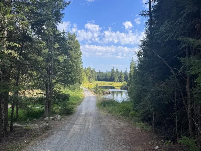 A close view of a green and flagstick at Priest Lake, with the forest behind the hole.