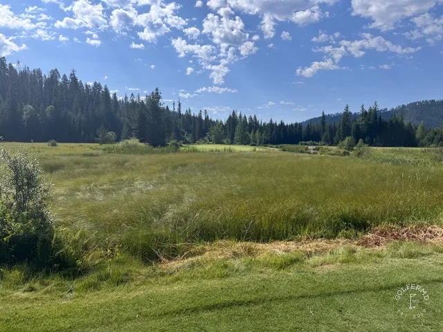 A fairway at Priest Lake with a sand bunker along the right and pines on both sides.