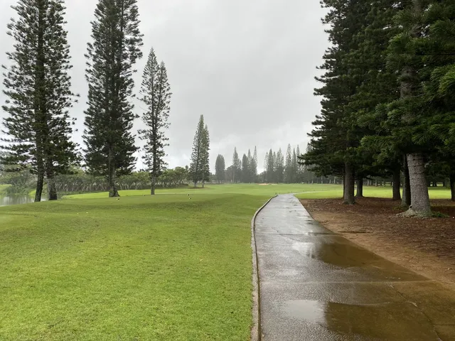 A fairway at Princeville Makai Golf Club running toward the ocean, with palm trees and the mountains of Kauai in the distance.