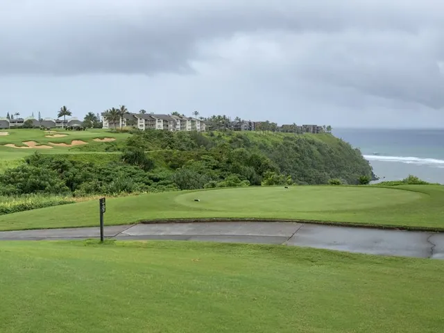 A wide view at Princeville Makai, with a fairway, palm trees, and the Pacific on the horizon.
