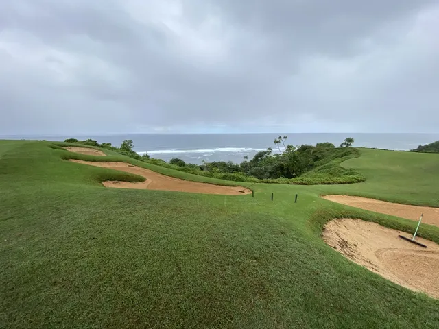 A group of golfers on a tee at Princeville Makai, with the coast and palm trees behind them.