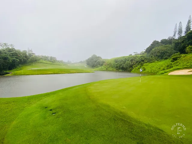 A fairway at Princeville Makai lined with palm trees, running toward the water.