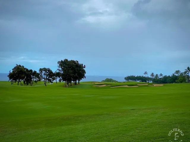 A golfer putting on a green at Princeville Makai, with palm trees and the ocean behind the hole.