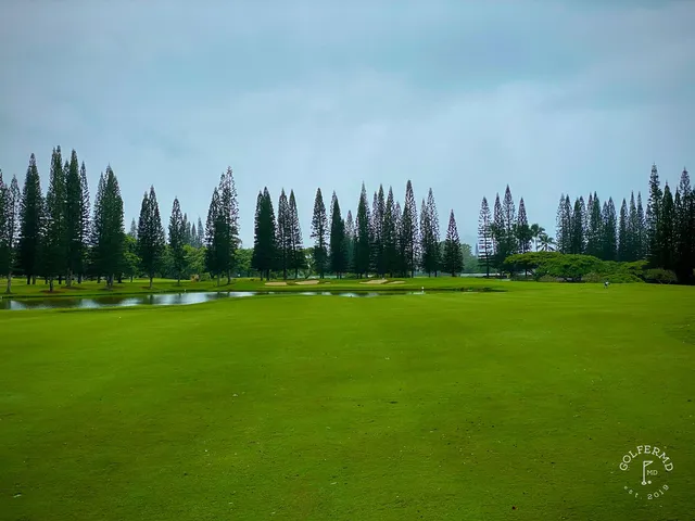 A close view of a green and flagstick at Princeville Makai, with the coast behind the hole.