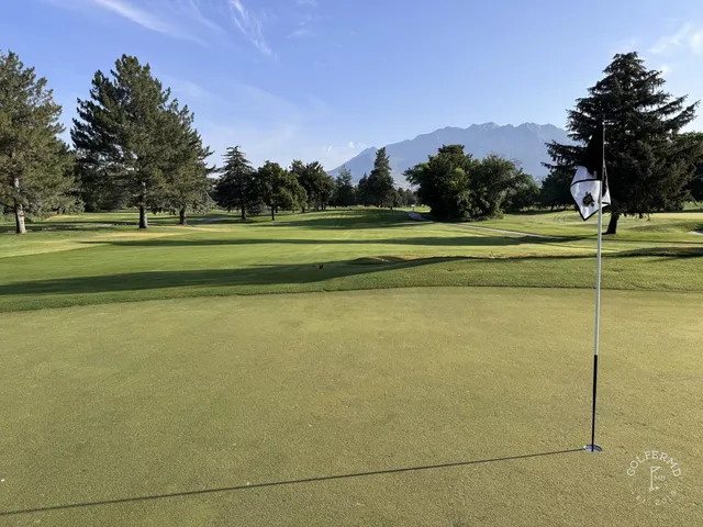 A close view of a green and flagstick at Riverside Country Club, with trees and the mountains beyond.