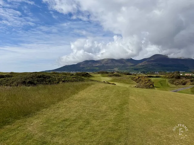 A wide view of the Annesley Links, gorse along the hole and the bay in the distance.