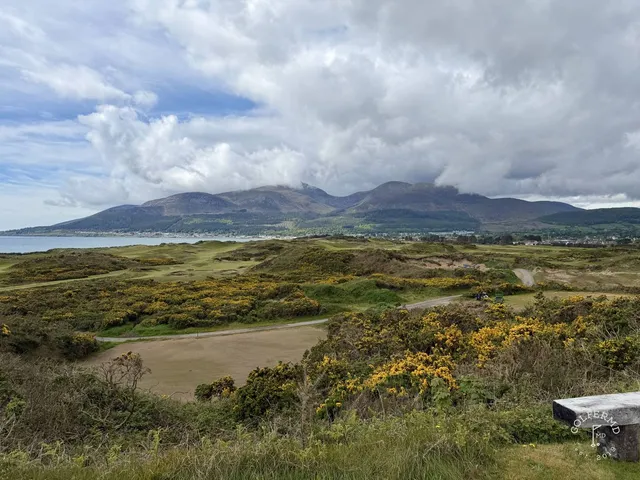 A golfer hitting a shot on the Annesley Links, with the dunes ahead.