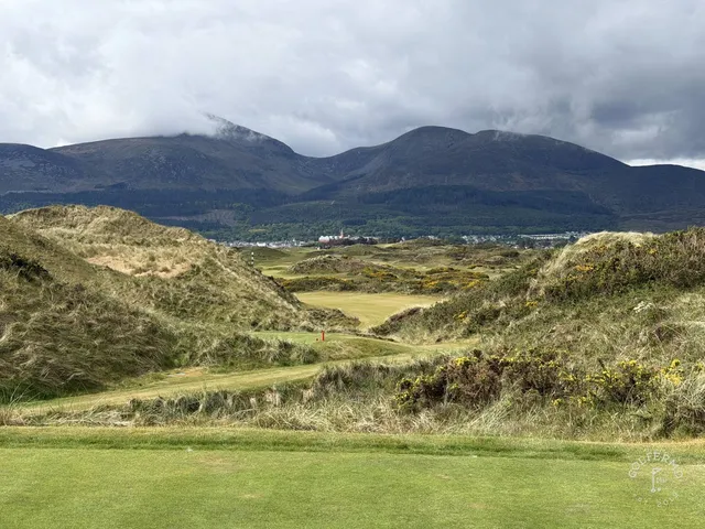 A green and flagstick on the Annesley Links seen from the fairway.