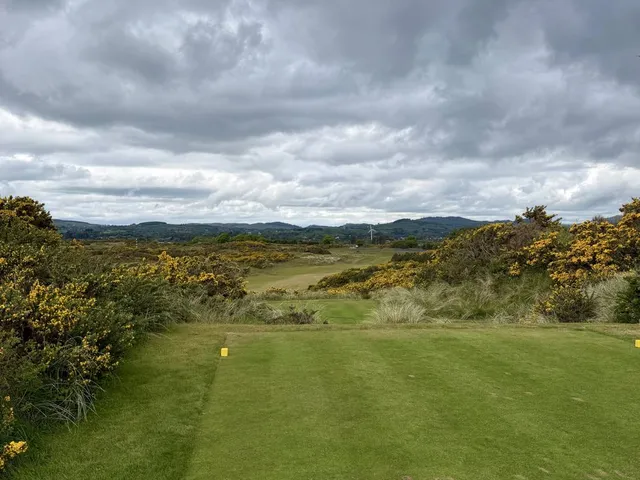 A close view of a green on the Annesley Links, the flagstick framed by gorse.