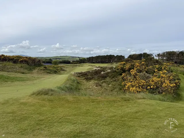 The last stretch at Royal County Down, dunes running toward the mountains.