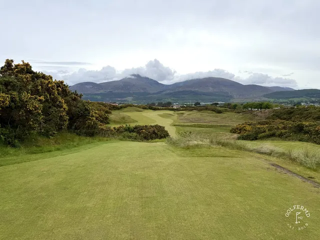 A last wide view of Royal County Down, the links spread beneath the Mourne Mountains.