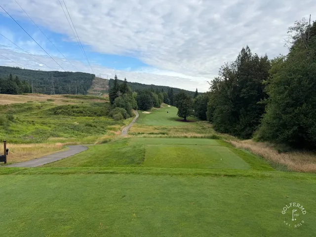 A fairway at Salish Cliffs dropping through the evergreens.