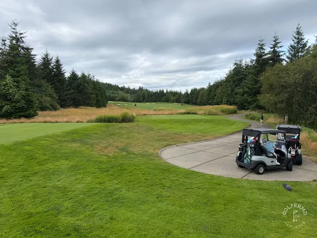 A golfer hitting a shot at Salish Cliffs, with the tree-lined fairway ahead.